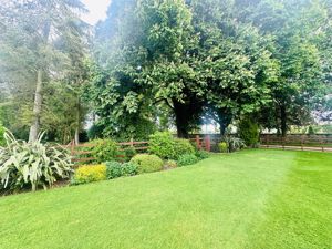 Garden - click for photo gallery